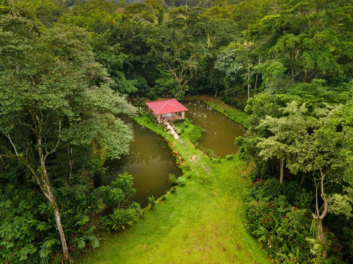 Ara Ambigua Lodge Sarapiquí Exteriör bild
