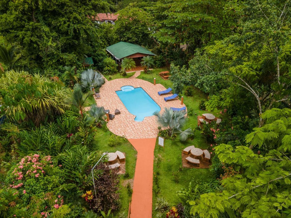 Ara Ambigua Lodge Sarapiquí Exteriör bild