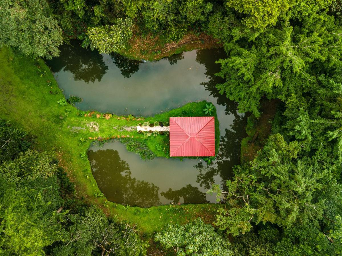 Ara Ambigua Lodge Sarapiquí Exteriör bild