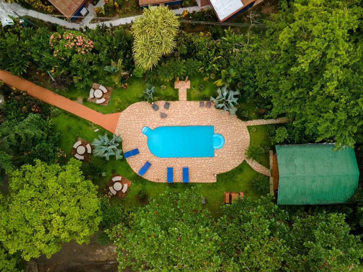 Ara Ambigua Lodge Sarapiquí Exteriör bild