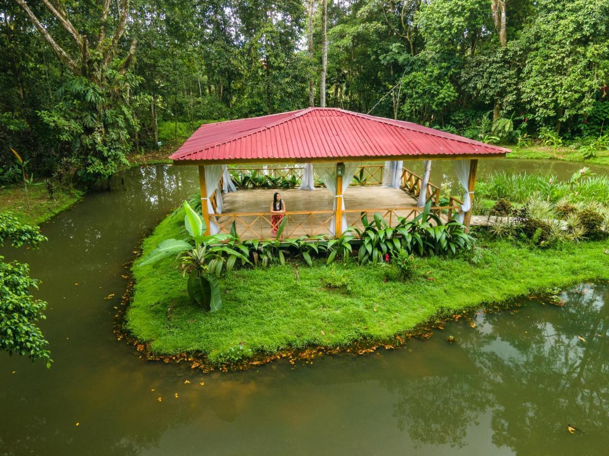 Ara Ambigua Lodge Sarapiquí Exteriör bild