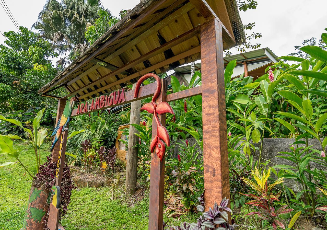 Ara Ambigua Lodge Sarapiquí Exteriör bild