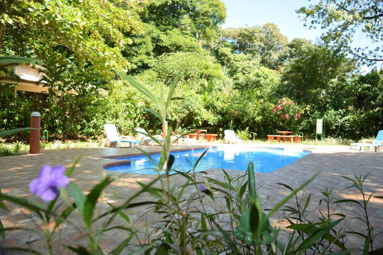 Ara Ambigua Lodge Sarapiquí Exteriör bild