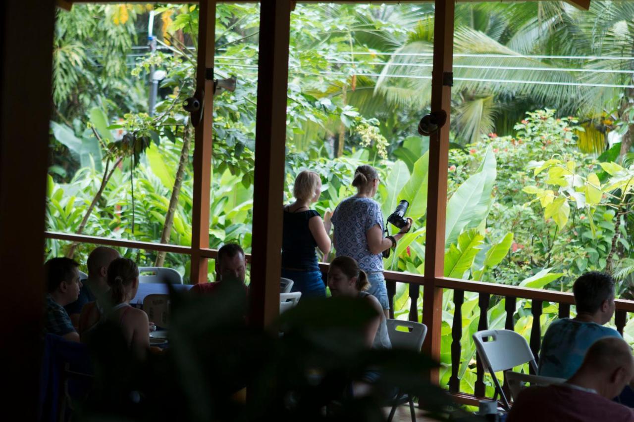 Ara Ambigua Lodge Sarapiquí Exteriör bild